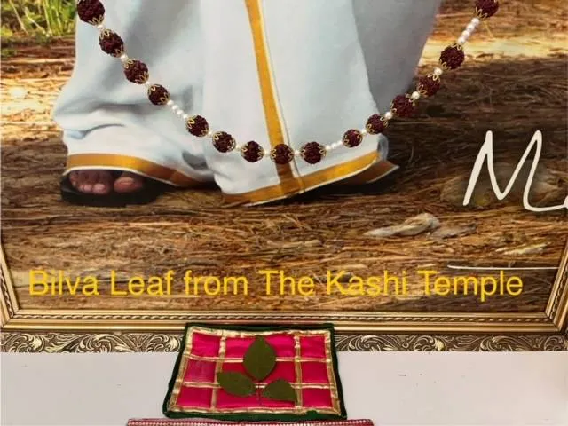 Bilva-leaf-kashi